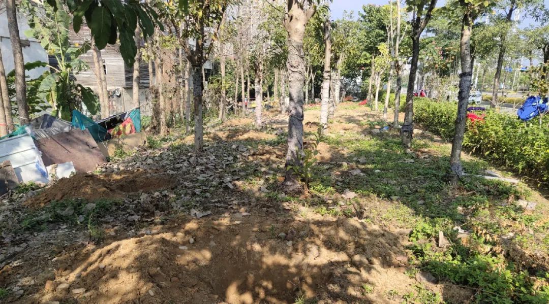 補坑還綠，福州高新區“顏值”提升在行動！