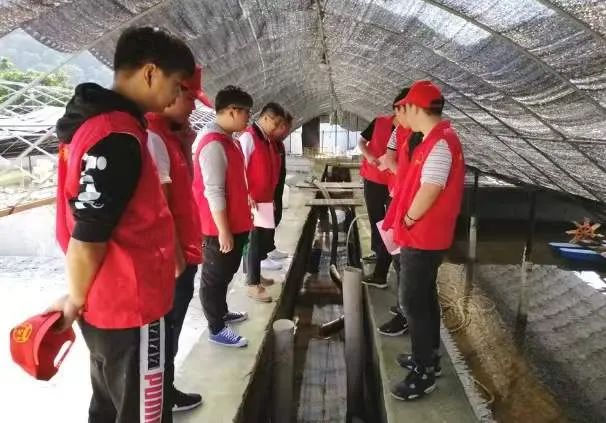 福清漁溪鎮建新村:從老區村邁向省小康庫區示范村 福清漁溪鎮建新村:從老區村邁向省小康庫區示范村