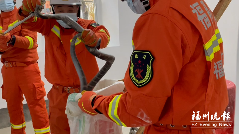 永泰村民家中現眼鏡王蛇 消防人員及時捕獲放生