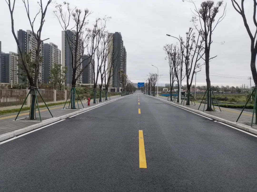 高新區兩條便民路將通車，今年還將新建38條道路！