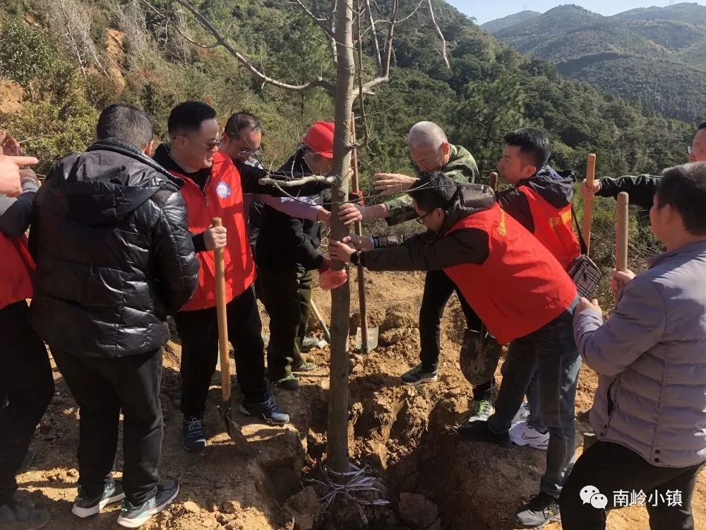 栽下一片綠,收獲滿眼春!為福清這群人點贊! 栽下一片綠,收獲滿眼春!為福清這群人點贊!