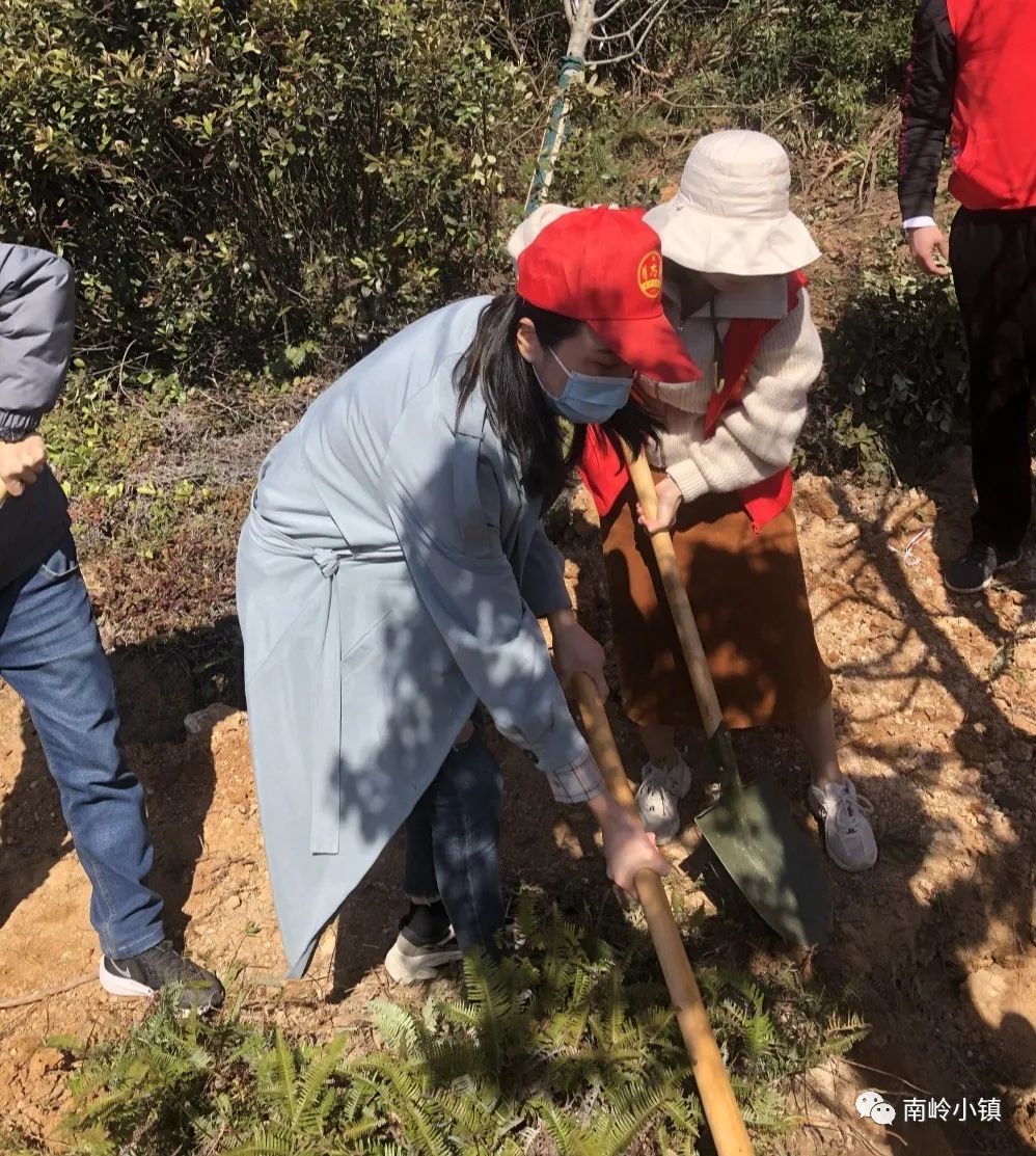 栽下一片綠,收獲滿眼春!為福清這群人點贊! 栽下一片綠,收獲滿眼春!為福清這群人點贊!