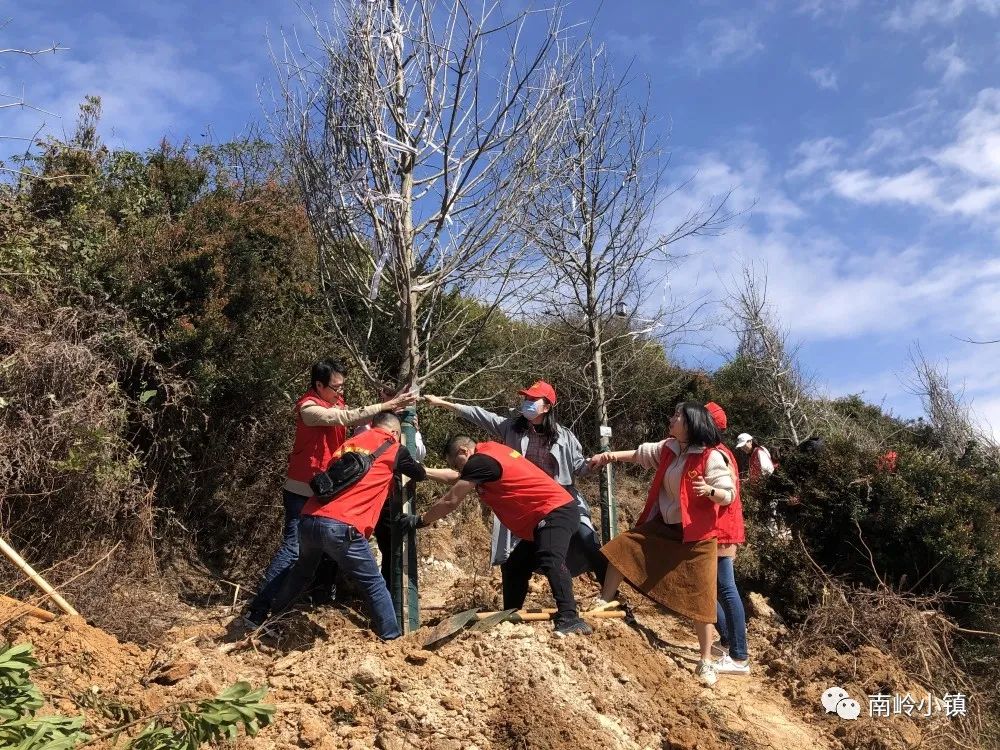 栽下一片綠,收獲滿眼春!為福清這群人點贊! 栽下一片綠,收獲滿眼春!為福清這群人點贊!