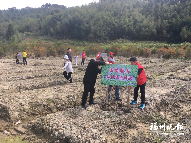 一場春光里的簽約會：遠(yuǎn)道而來的“大咖” 認(rèn)種認(rèn)養(yǎng)60畝山野