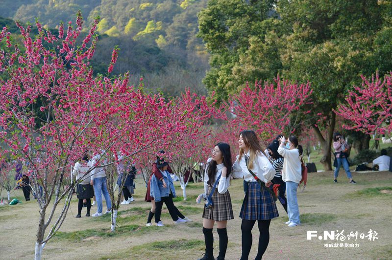 福州森林公園桃花開