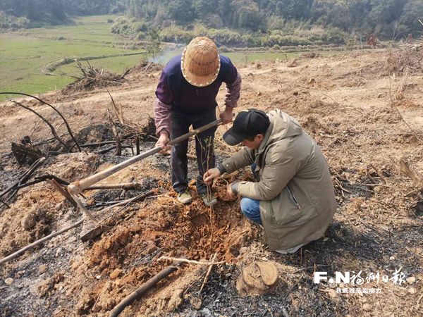 福州435多名林業干部赴一線植樹造林 福州435多名林業干部赴一線植樹造林