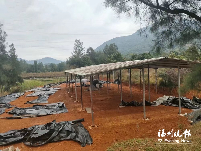 長樂拆除一處新增違建 長樂拆除一處新增違建