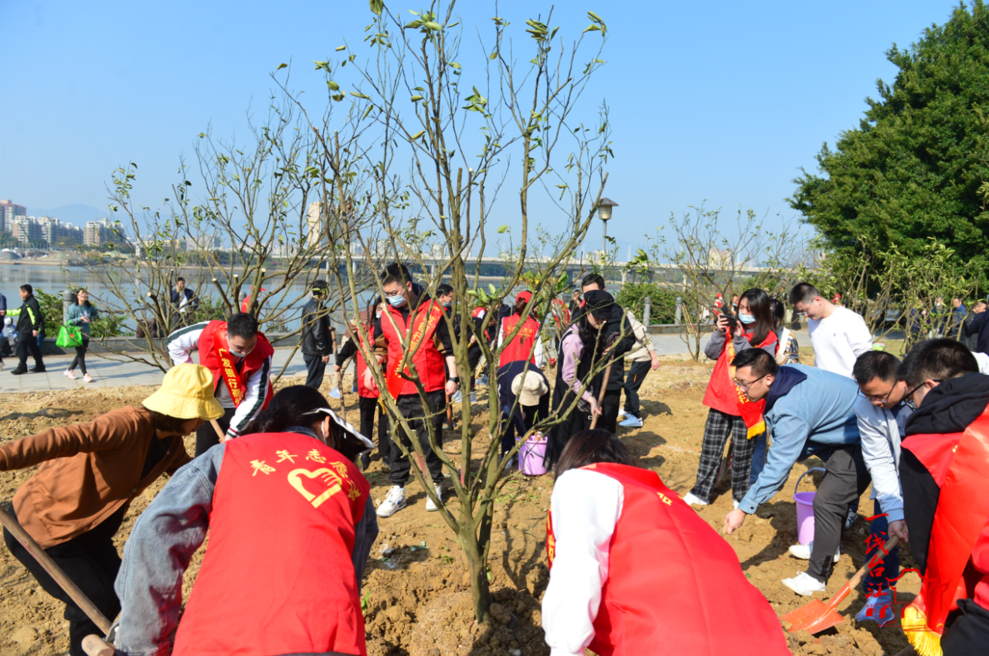 臺江:植綠正當時 共建生態區 臺江:植綠正當時 共建生態區