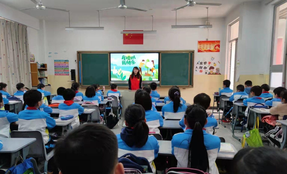 臺江:植綠正當時 共建生態區 臺江:植綠正當時 共建生態區