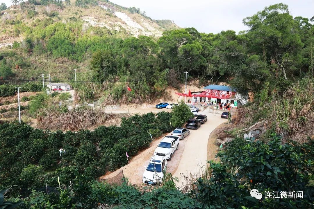 搶“鮮”上市!連江上百畝果園開(kāi)摘! 搶“鮮”上市!連江上百畝果園開(kāi)摘!