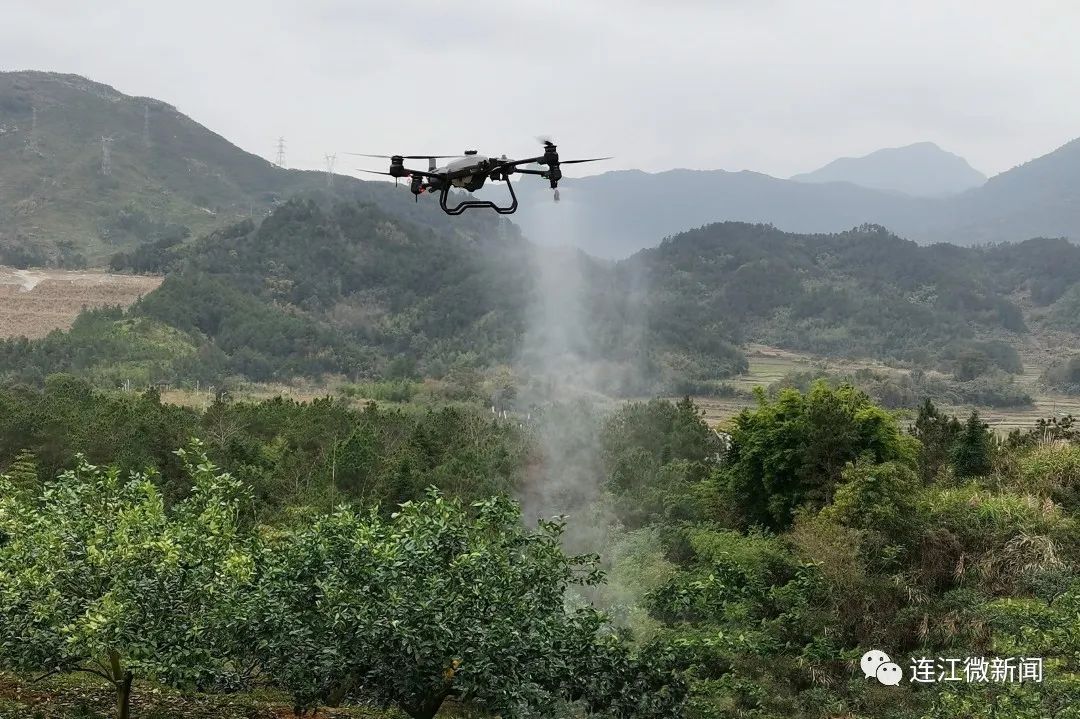 搶“鮮”上市！連江上百畝果園開(kāi)摘！