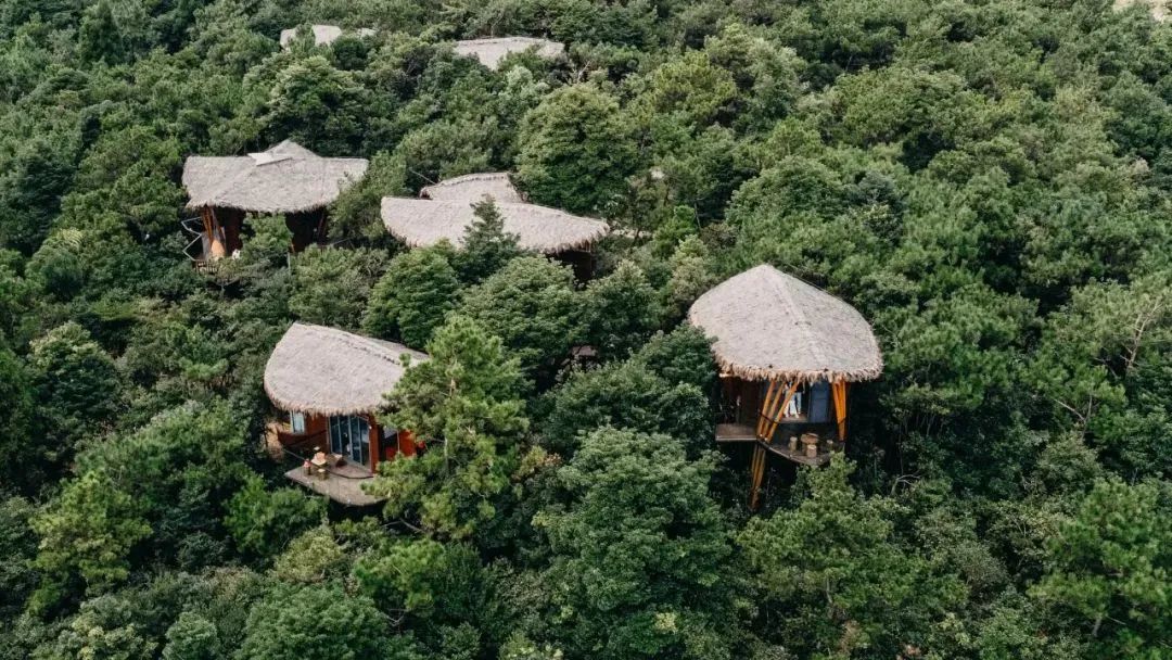 新晉網紅打卡地!福州鼓嶺柱里露營地“火”上央視 新晉網紅打卡地!福州鼓嶺柱里露營地“火”上央視