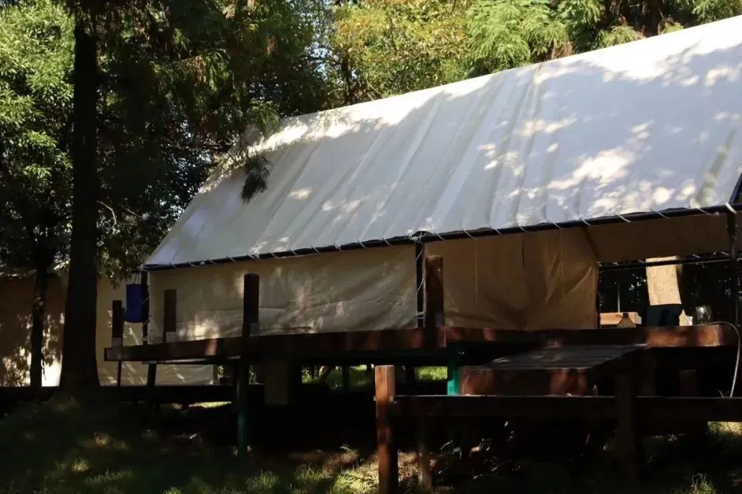 新晉網紅打卡地!福州鼓嶺柱里露營地“火”上央視 新晉網紅打卡地!福州鼓嶺柱里露營地“火”上央視