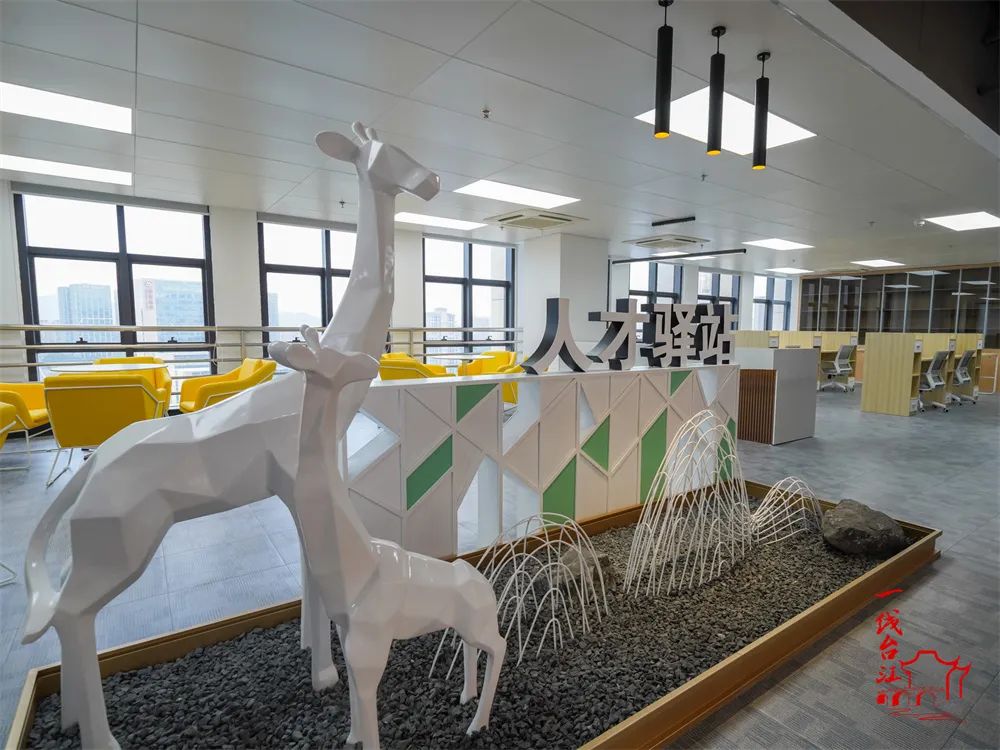 省新僑人才代表赴臺江區參觀考察 省新僑人才代表赴臺江區參觀考察