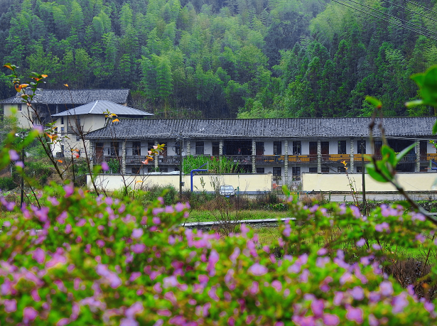 閩清東洋村:煙雨中的山水畫卷 閩清東洋村:煙雨中的山水畫卷