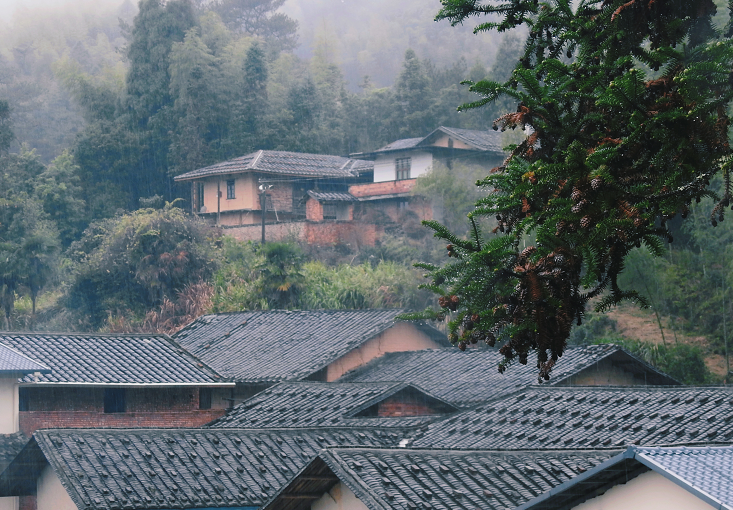 閩清東洋村:煙雨中的山水畫卷 閩清東洋村:煙雨中的山水畫卷