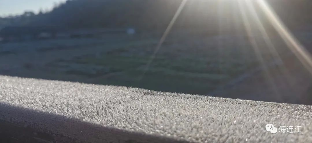 冷！連江霜凍景觀來襲！